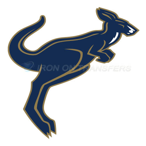 Akron Zips Iron-on Stickers (Heat Transfers)NO.3697